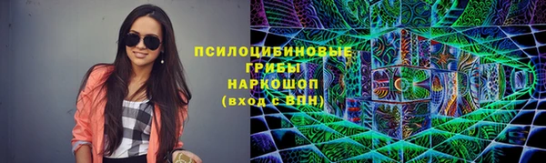 винт Армянск