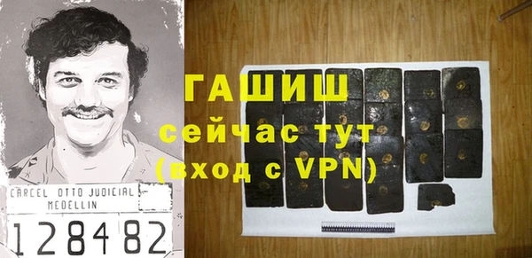 спиды Болотное